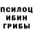 Псилоцибиновые грибы мухоморы Shannon Signarowski