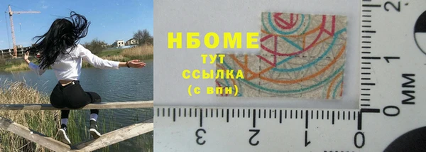 дживик Верхний Тагил