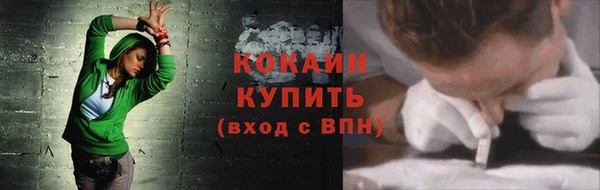 дживик Верхний Тагил