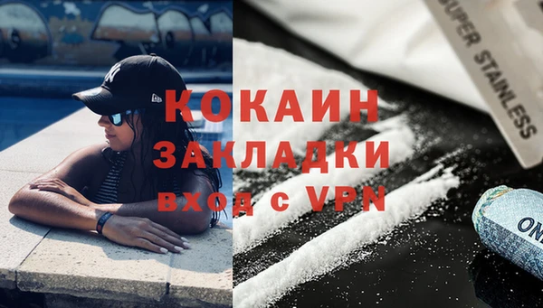 дживик Верхний Тагил