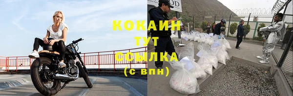 дживик Верхний Тагил