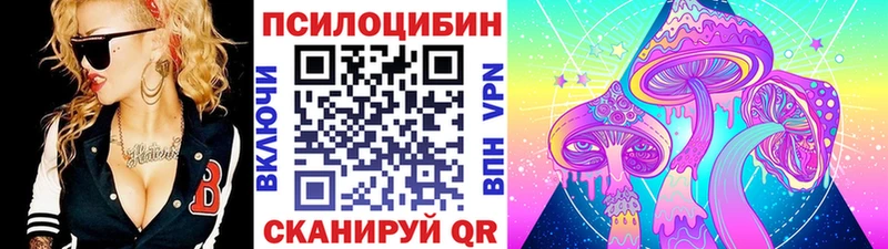 KRAKEN зеркало  Новочебоксарск  Псилоцибиновые грибы Psilocybe 